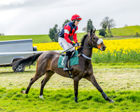 Race 2 - Young Horse Maiden 2m 5f (13 of 117)