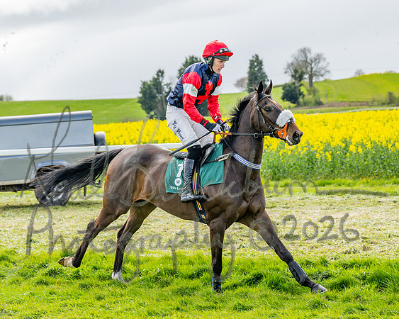 Race 2 - Young Horse Maiden 2m 5f (13 of 117)