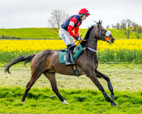 Race 2 - Young Horse Maiden 2m 5f (14 of 117)