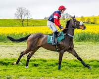 Race 2 - Young Horse Maiden 2m 5f (15 of 117)