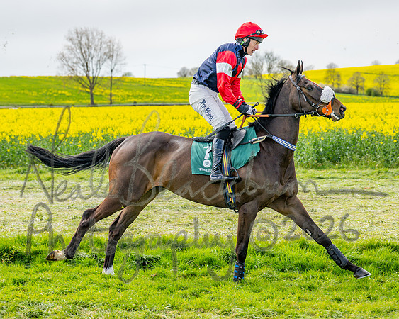 Race 2 - Young Horse Maiden 2m 5f (15 of 117)