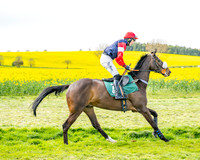 Race 2 - Young Horse Maiden 2m 5f (16 of 117)