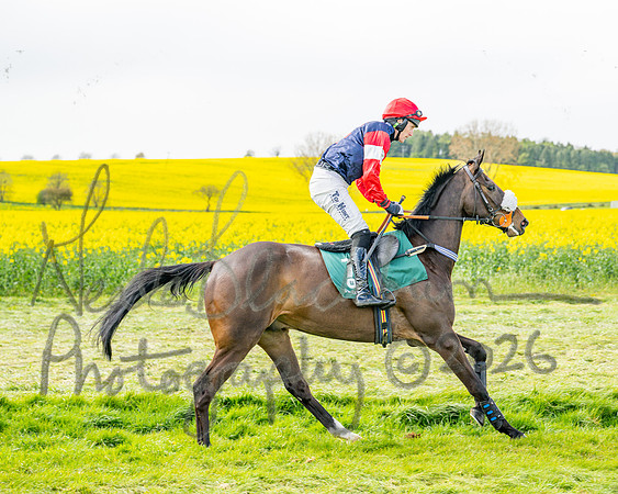 Race 2 - Young Horse Maiden 2m 5f (16 of 117)