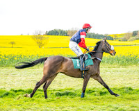 Race 2 - Young Horse Maiden 2m 5f (17 of 117)