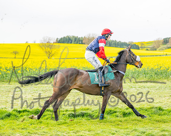 Race 2 - Young Horse Maiden 2m 5f (17 of 117)