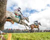 Race 2 - Young Horse Maiden 2m 5f (18 of 117)