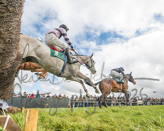 Race 2 - Young Horse Maiden 2m 5f (18 of 117)