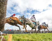 Race 2 - Young Horse Maiden 2m 5f (19 of 117)