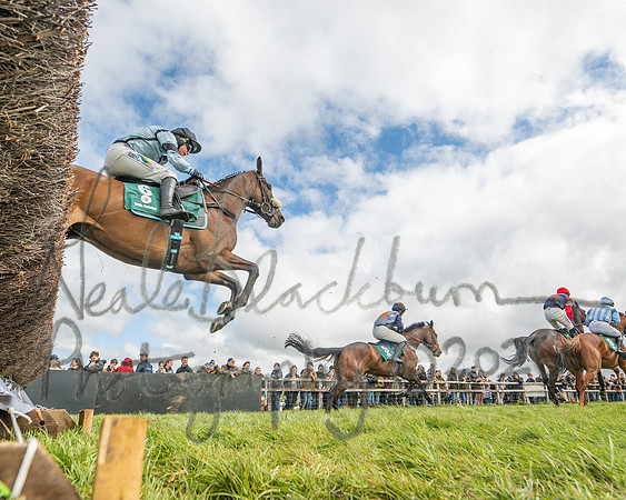 Race 2 - Young Horse Maiden 2m 5f (20 of 117)