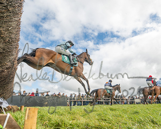 Race 2 - Young Horse Maiden 2m 5f (21 of 117)