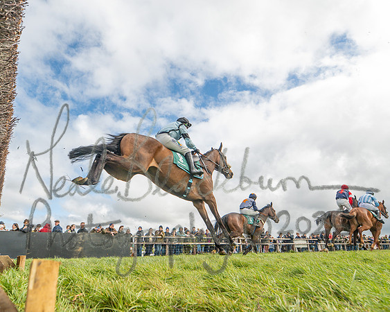 Race 2 - Young Horse Maiden 2m 5f (22 of 117)