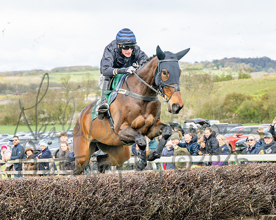 Race 2 - Young Horse Maiden 2m 5f (25 of 117)