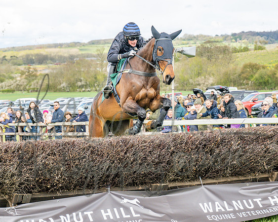 Race 2 - Young Horse Maiden 2m 5f (24 of 117)