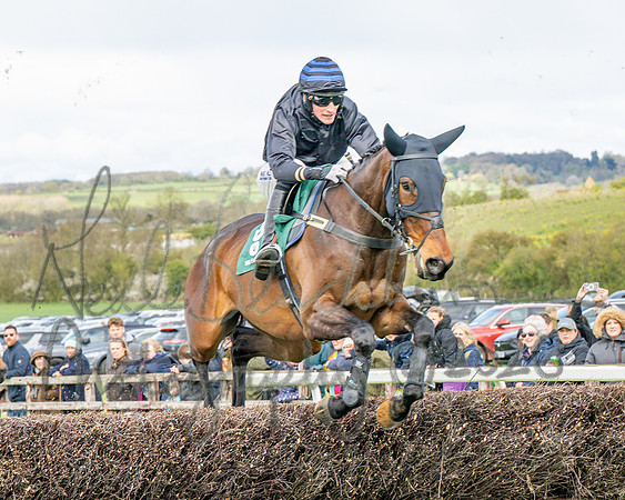 Race 2 - Young Horse Maiden 2m 5f (26 of 117)