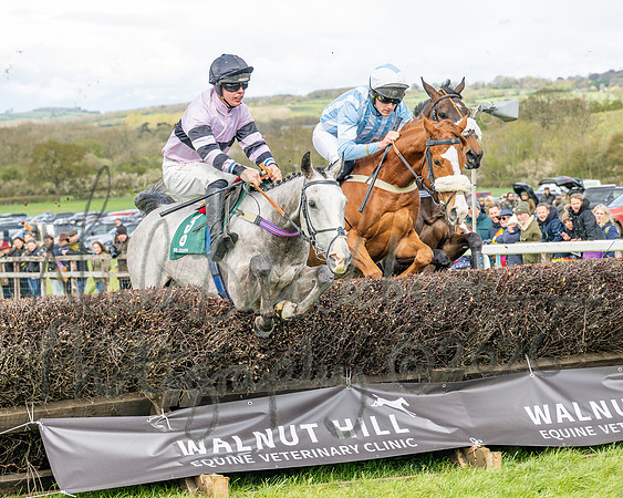 Race 2 - Young Horse Maiden 2m 5f (27 of 117)