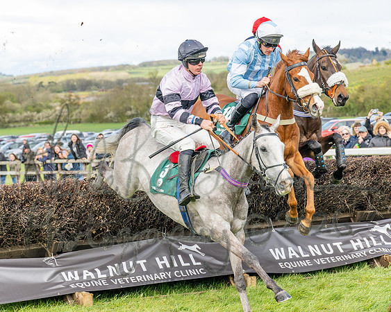 Race 2 - Young Horse Maiden 2m 5f (29 of 117)