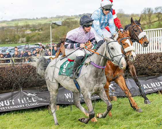 Race 2 - Young Horse Maiden 2m 5f (30 of 117)