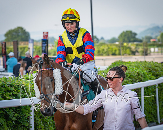 Race 3 - The Junior Jumpers open hunter's steeple chase 3m1f56y (25 of 156)