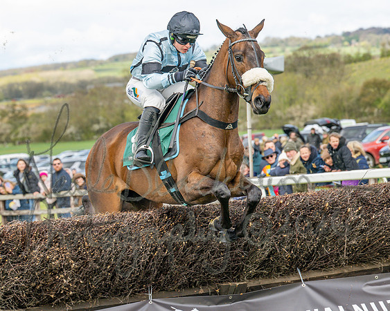 Race 2 - Young Horse Maiden 2m 5f (32 of 117)