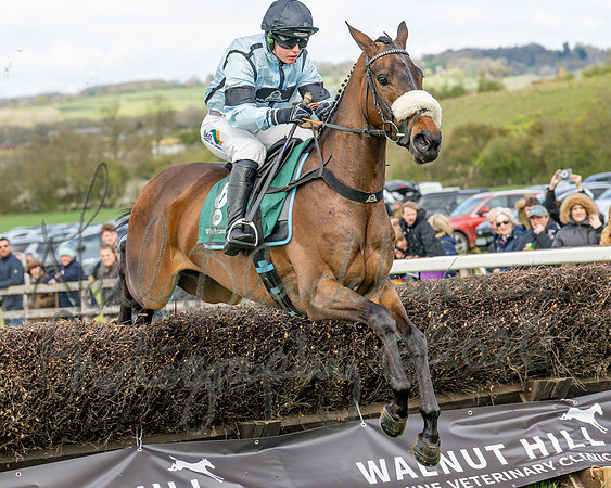 Race 2 - Young Horse Maiden 2m 5f (33 of 117)