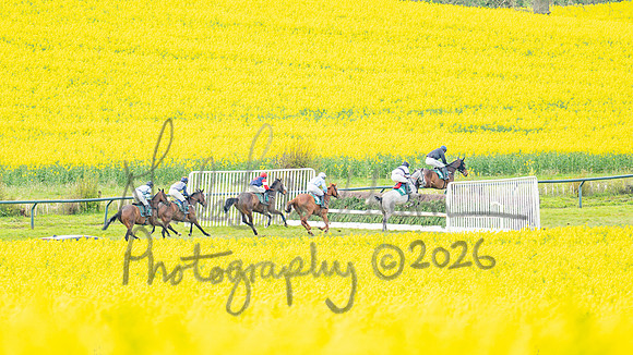 Race 2 - Young Horse Maiden 2m 5f (40 of 117)