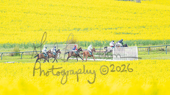 Race 2 - Young Horse Maiden 2m 5f (41 of 117)