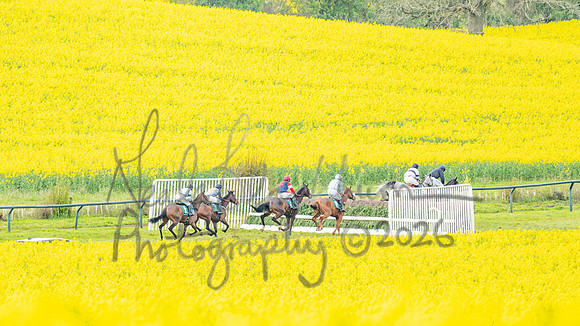 Race 2 - Young Horse Maiden 2m 5f (42 of 117)