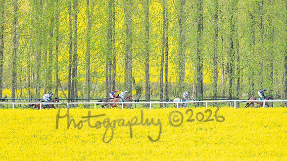Race 2 - Young Horse Maiden 2m 5f (45 of 117)