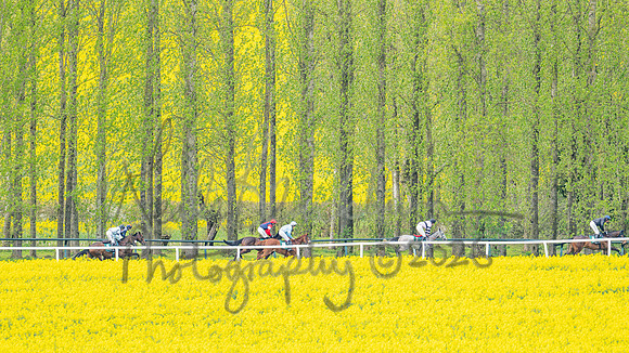 Race 2 - Young Horse Maiden 2m 5f (48 of 117)