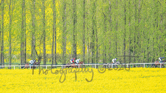 Race 2 - Young Horse Maiden 2m 5f (52 of 117)