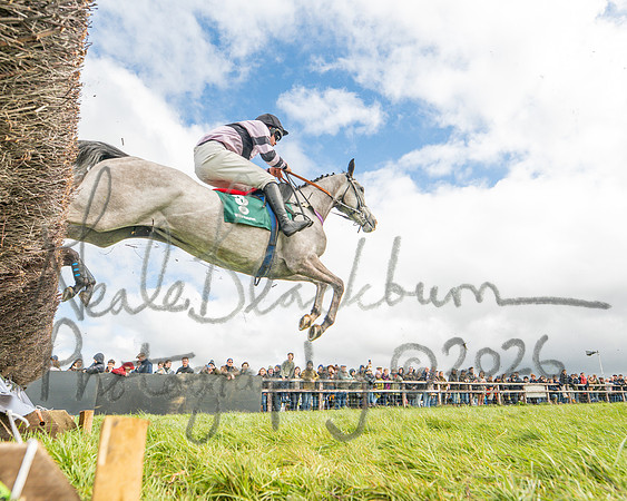 Race 2 - Young Horse Maiden 2m 5f (54 of 117)