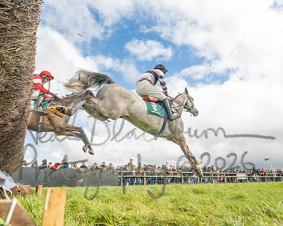 Race 2 - Young Horse Maiden 2m 5f (55 of 117)