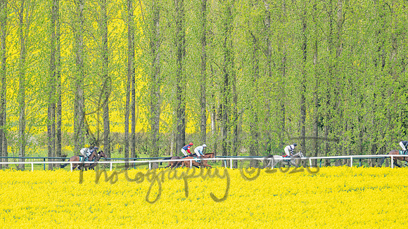 Race 2 - Young Horse Maiden 2m 5f (53 of 117)