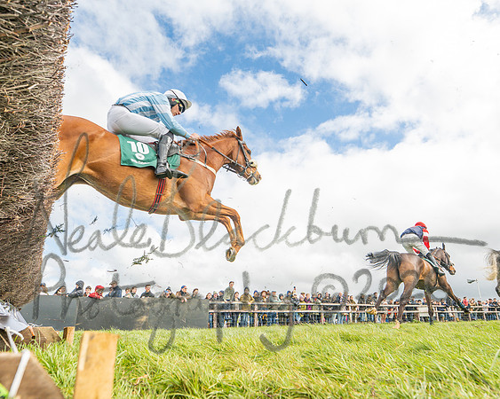 Race 2 - Young Horse Maiden 2m 5f (58 of 117)