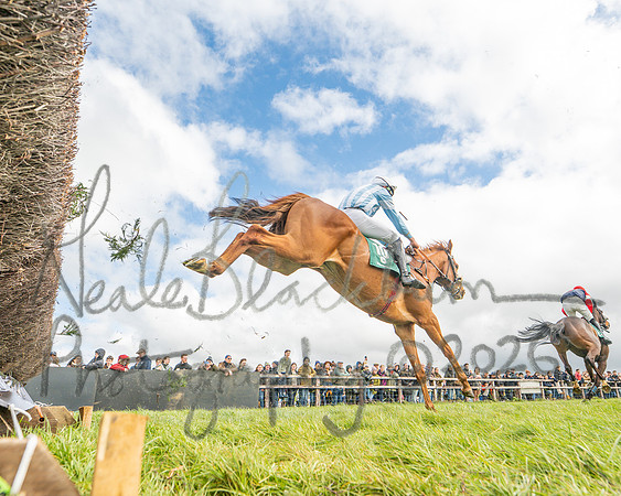 Race 2 - Young Horse Maiden 2m 5f (59 of 117)