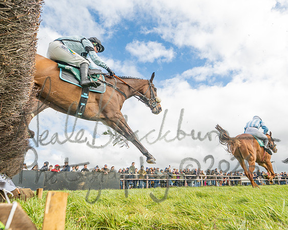 Race 2 - Young Horse Maiden 2m 5f (60 of 117)