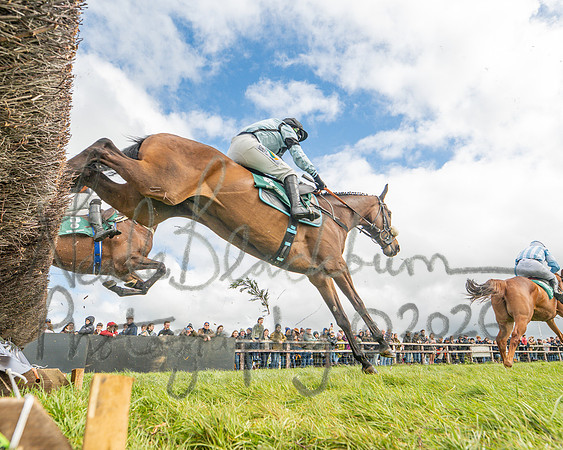 Race 2 - Young Horse Maiden 2m 5f (61 of 117)