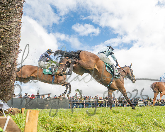 Race 2 - Young Horse Maiden 2m 5f (62 of 117)
