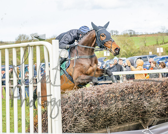 Race 2 - Young Horse Maiden 2m 5f (63 of 117)