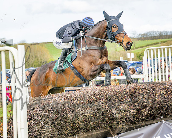 Race 2 - Young Horse Maiden 2m 5f (64 of 117)