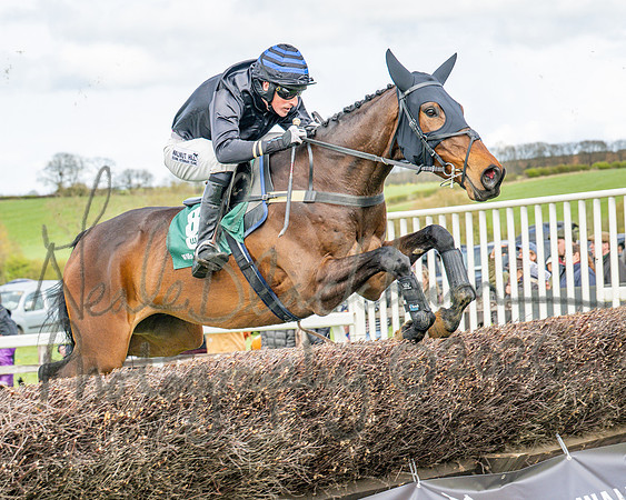 Race 2 - Young Horse Maiden 2m 5f (65 of 117)