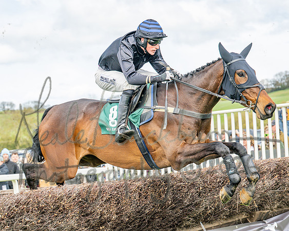Race 2 - Young Horse Maiden 2m 5f (66 of 117)