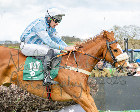Race 2 - Young Horse Maiden 2m 5f (68 of 117)