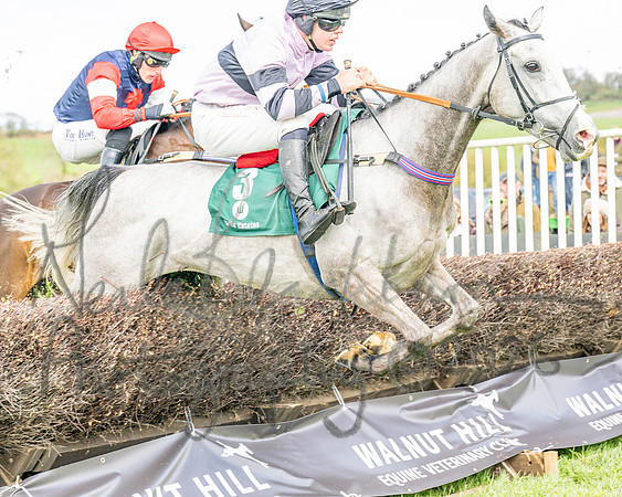 Race 2 - Young Horse Maiden 2m 5f (67 of 117)