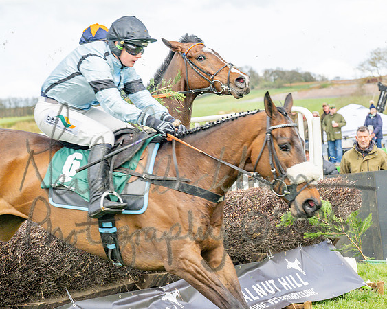 Race 2 - Young Horse Maiden 2m 5f (69 of 117)