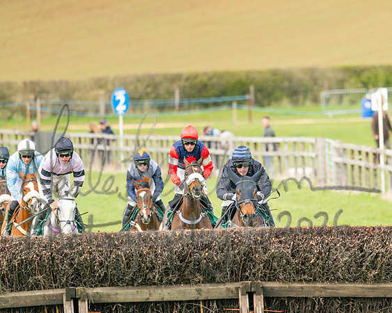Race 2 - Young Horse Maiden 2m 5f (70 of 117)