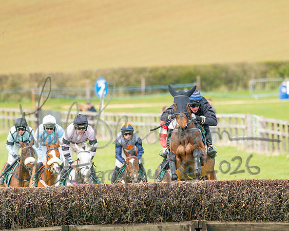 Race 2 - Young Horse Maiden 2m 5f (72 of 117)
