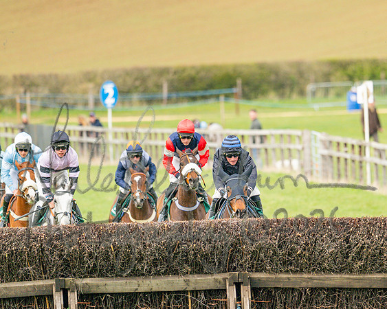 Race 2 - Young Horse Maiden 2m 5f (71 of 117)