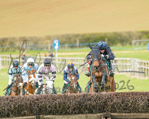 Race 2 - Young Horse Maiden 2m 5f (73 of 117)