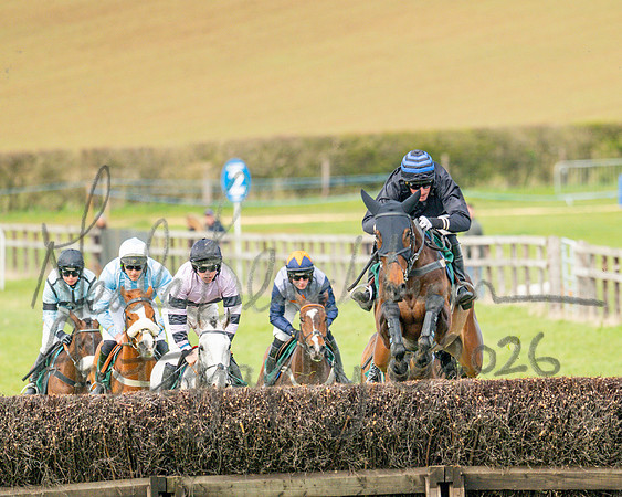 Race 2 - Young Horse Maiden 2m 5f (74 of 117)